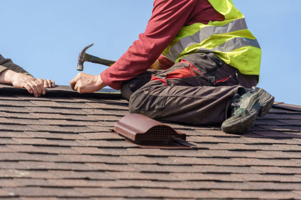 Best Storm Damage Roof Repair  in Frazee, MN
