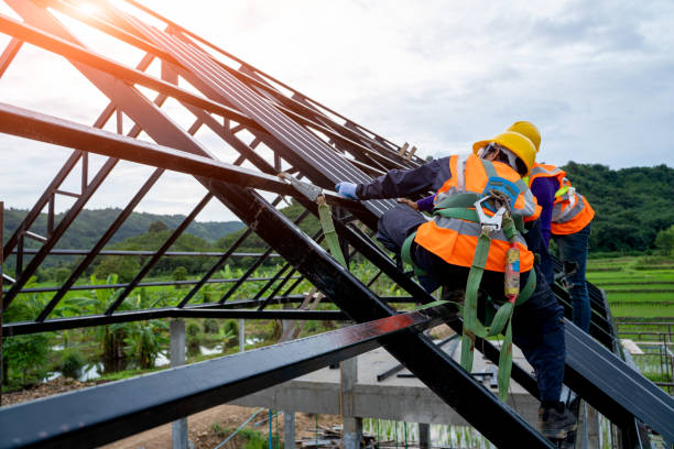 Best Emergency Roof Repair  in Frazee, MN