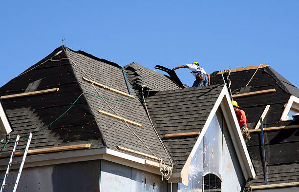 Best Roof Leak Repair  in Frazee, MN