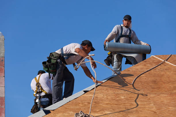 Best Roof Waterproofing Services  in Frazee, MN