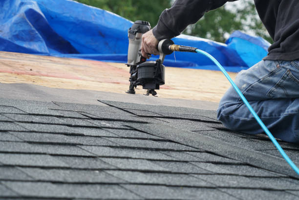 Best Commercial Roofing Services  in Frazee, MN