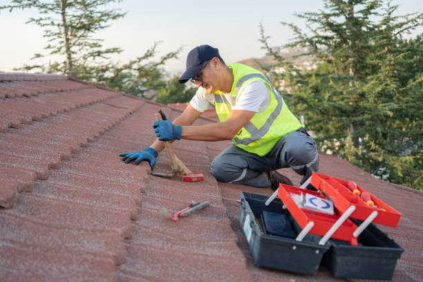 Best New Roof Installation  in Frazee, MN