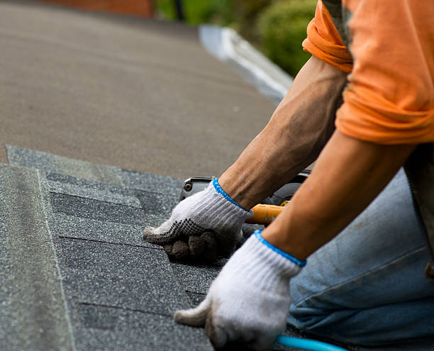 Best Local Roofing Companies  in Frazee, MN