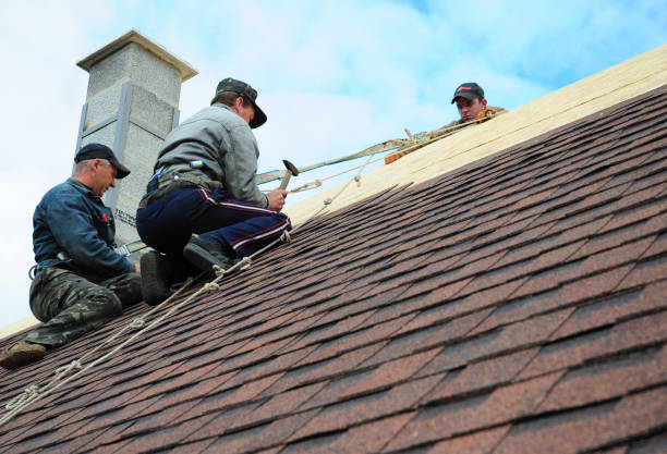 Best Roof Gutter Cleaning  in Frazee, MN