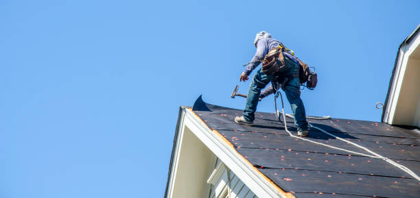 Best Metal Roofing Contractor  in Frazee, MN